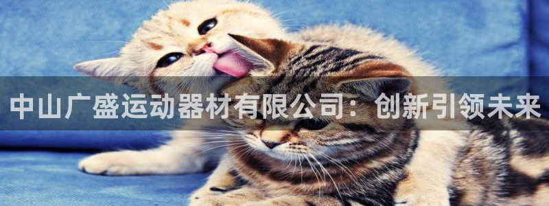 意昂4娱乐40996:中山广盛运动器材有限公司:创新引领未来