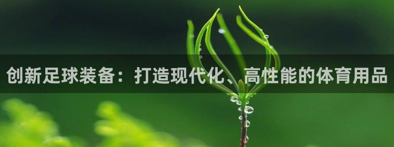 意昂4五金厂:创新足球装备:打造现代化、高性能的体育用品