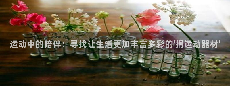 意昂4集团:运动中的陪伴:寻找让生活更加丰富多彩的\'捐运动