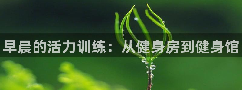 意昂4集团简介:早晨的活力训练:从健身房到健身馆